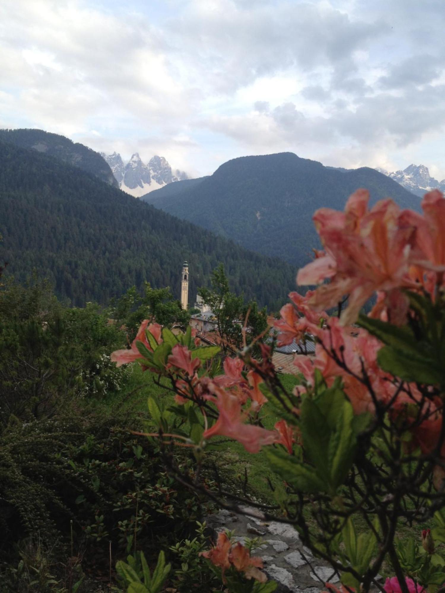 Bed and Breakfast Fra Rose E Mughi à Domegge di Cadore Extérieur photo