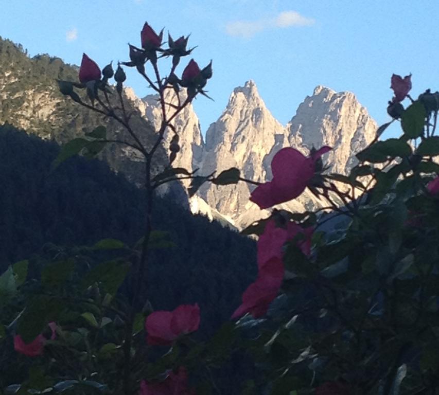 Bed and Breakfast Fra Rose E Mughi à Domegge di Cadore Extérieur photo